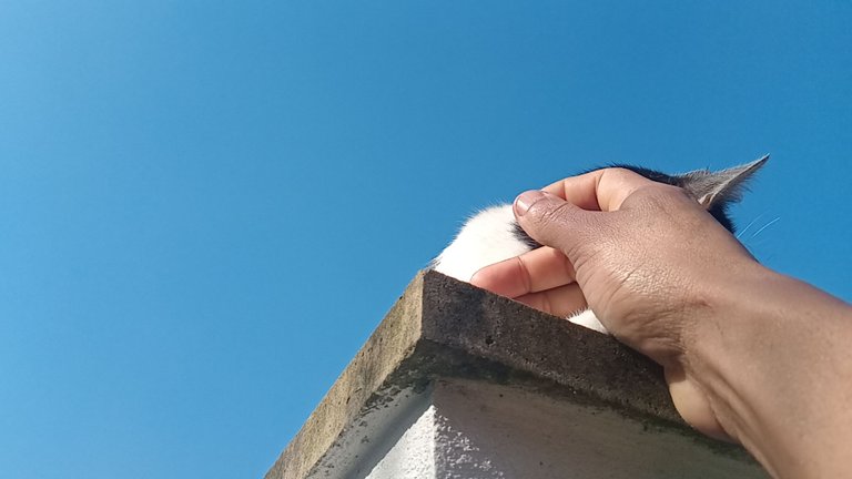 1000050737.jpg