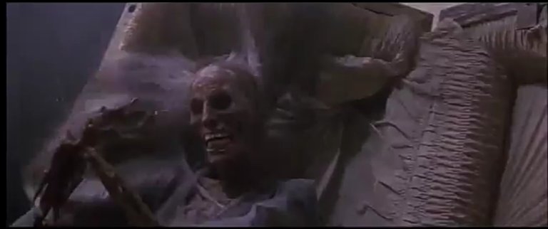 Screenshot_20250621-205607.jpg