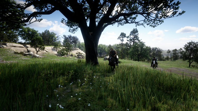 Screenshot (929).png