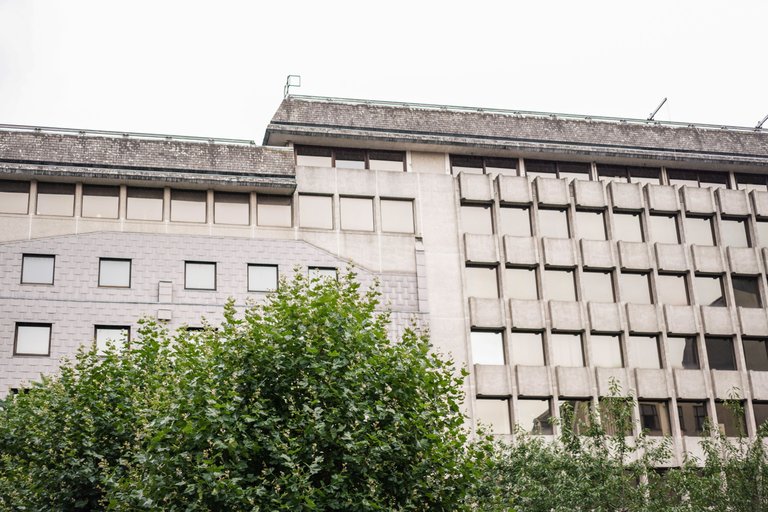 sabs-27.jpg