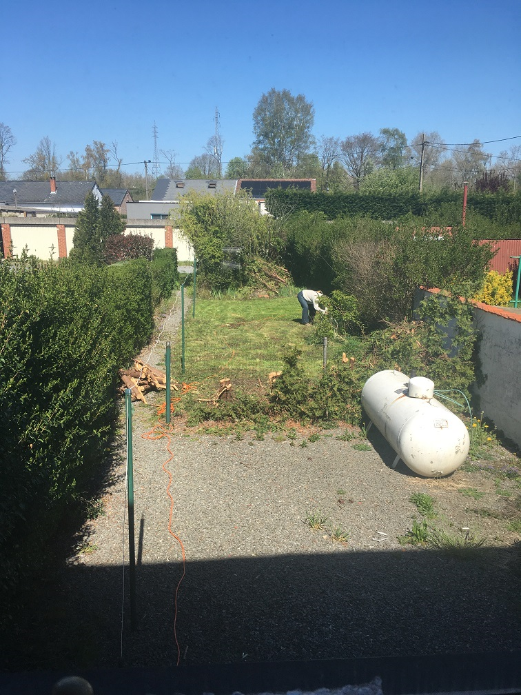 Tondeuse tout terrain exigée dans ce jardin à niveau très approximatif