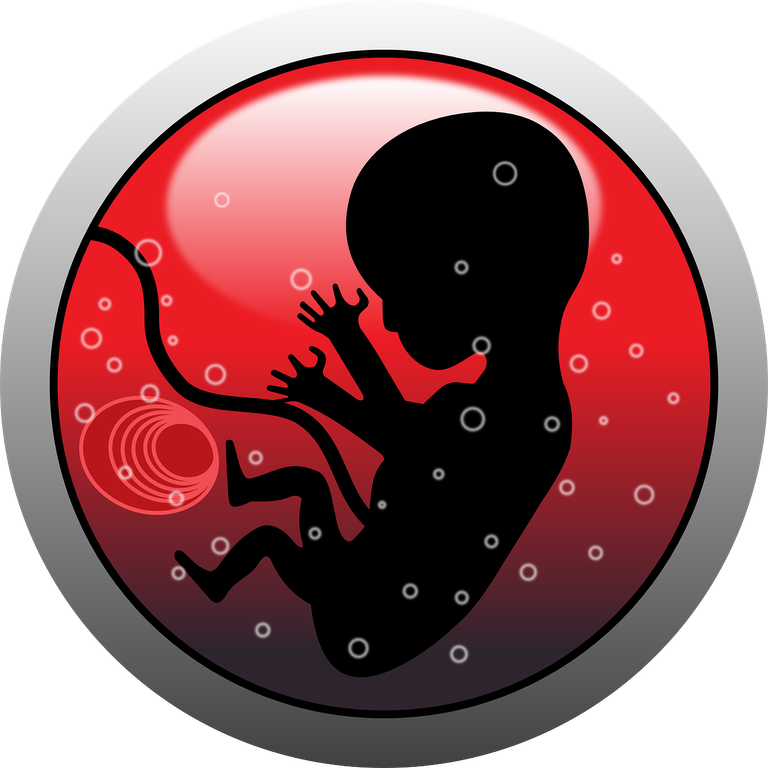 embryo-159691_1280.png