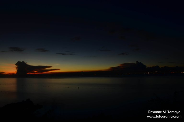 DSC_0378a.jpg