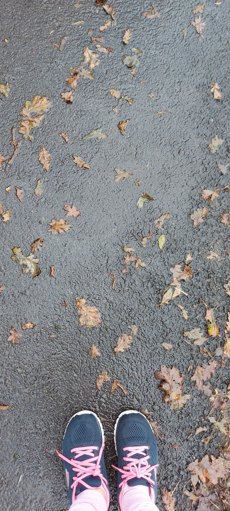 20231118_144049.jpg