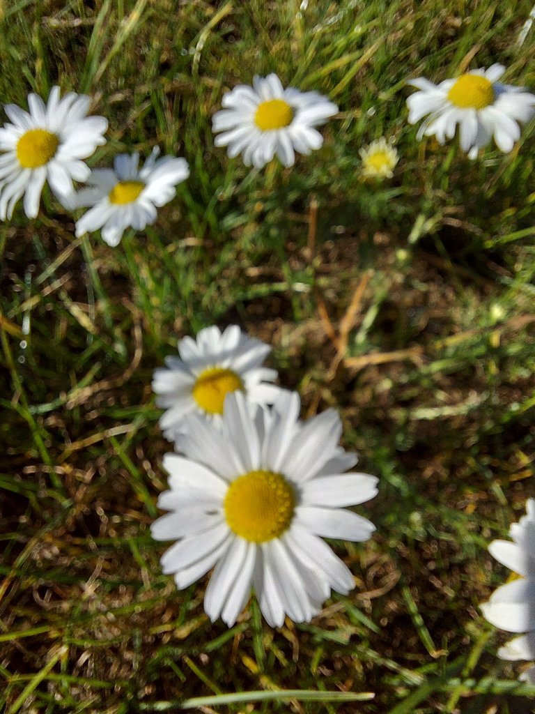 20231016_165240.jpg