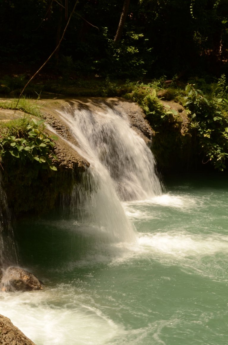 DSC_0709.JPG