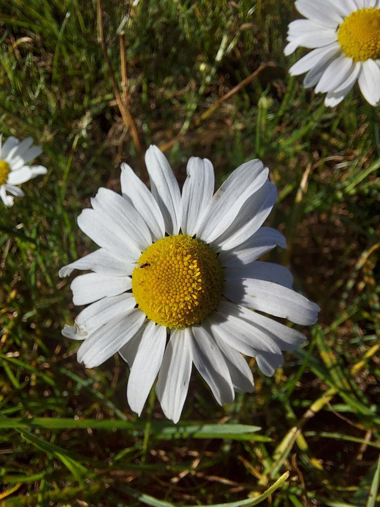 20231016_165302.jpg