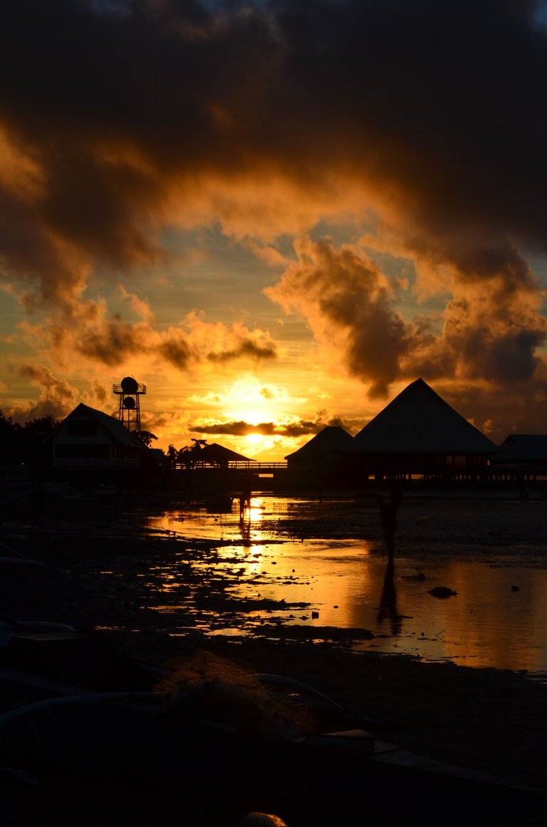 DSC_0400.JPG