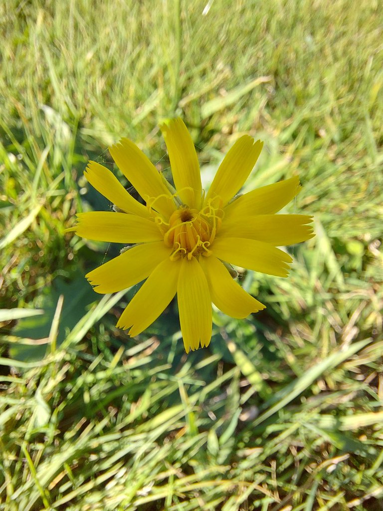 20231016_165403.jpg