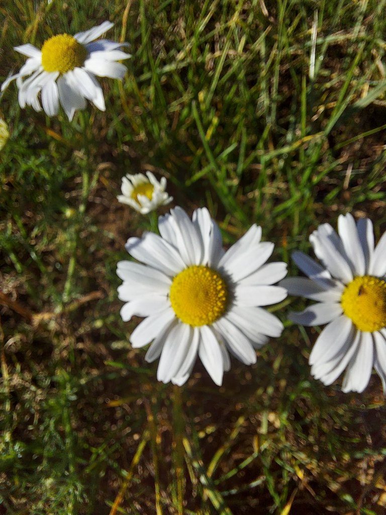 20231016_165248.jpg