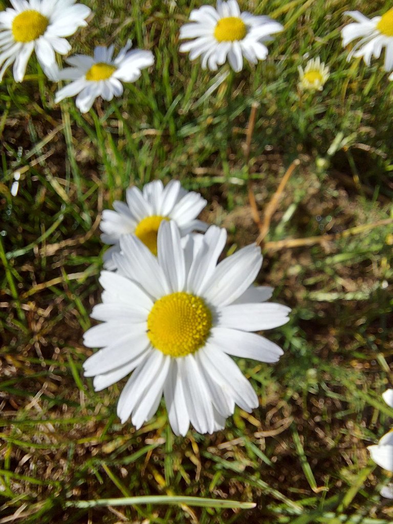 20231016_165342.jpg