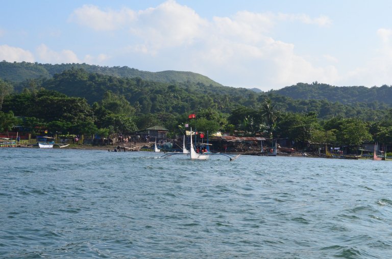 DSC_0429.JPG