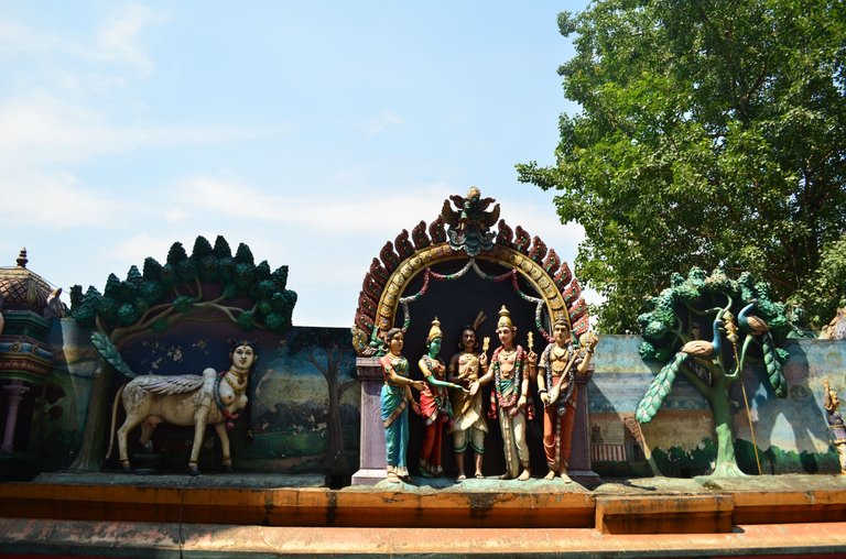 DSC_0457.JPG