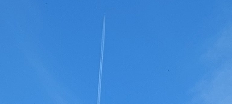 20231016_170236.jpg
