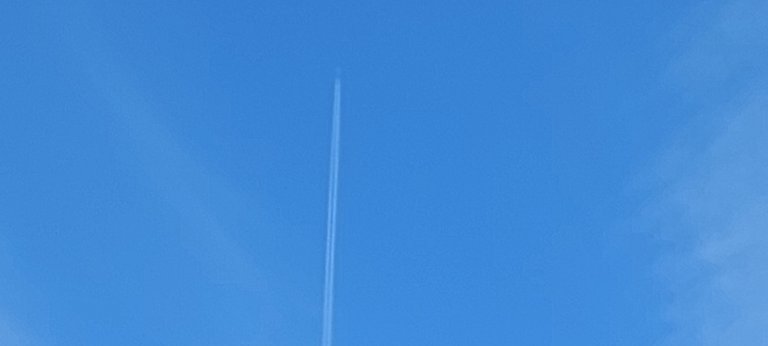 20231016_170232.jpg