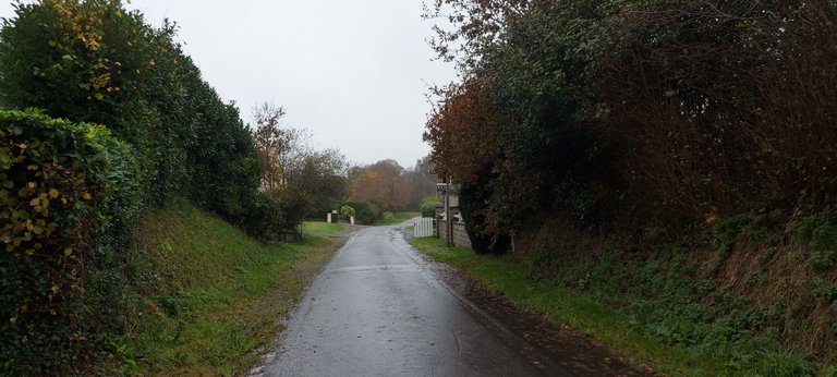 20231118_143133.jpg