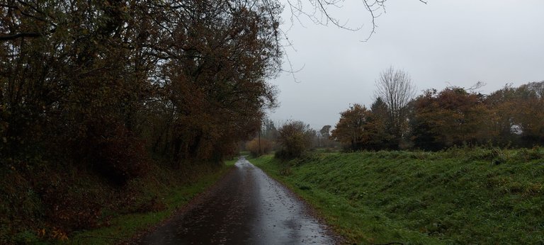 20231118_144000.jpg