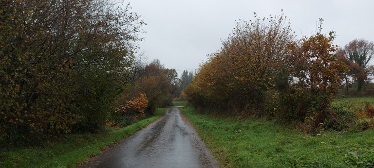 20231118_144349.jpg