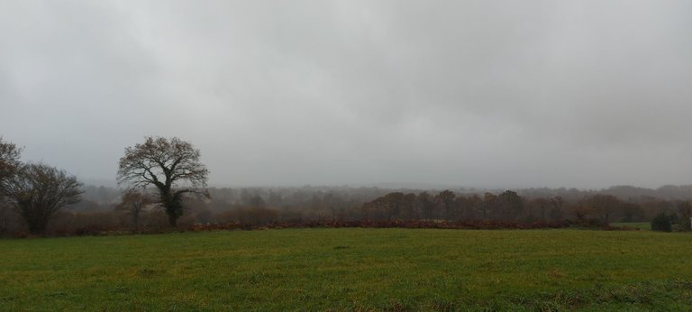 20231118_145707.jpg