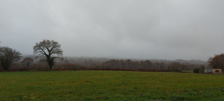 20231118_145649.jpg