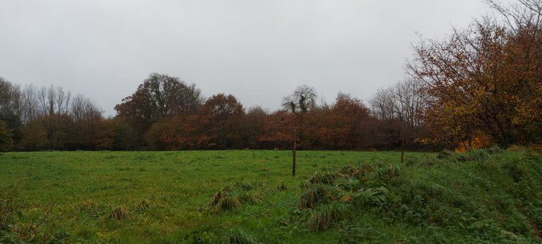 20231118_143336.jpg