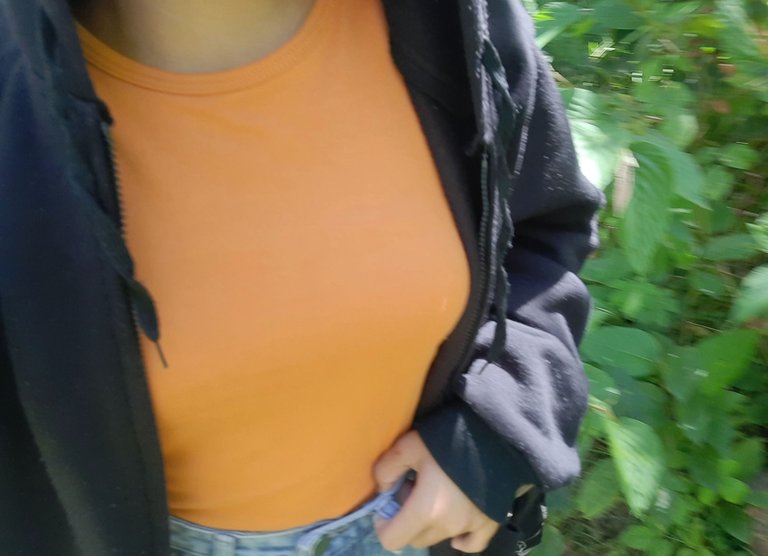 20250701_130715.jpg