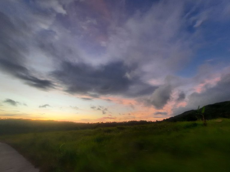 20250410_180320.jpg