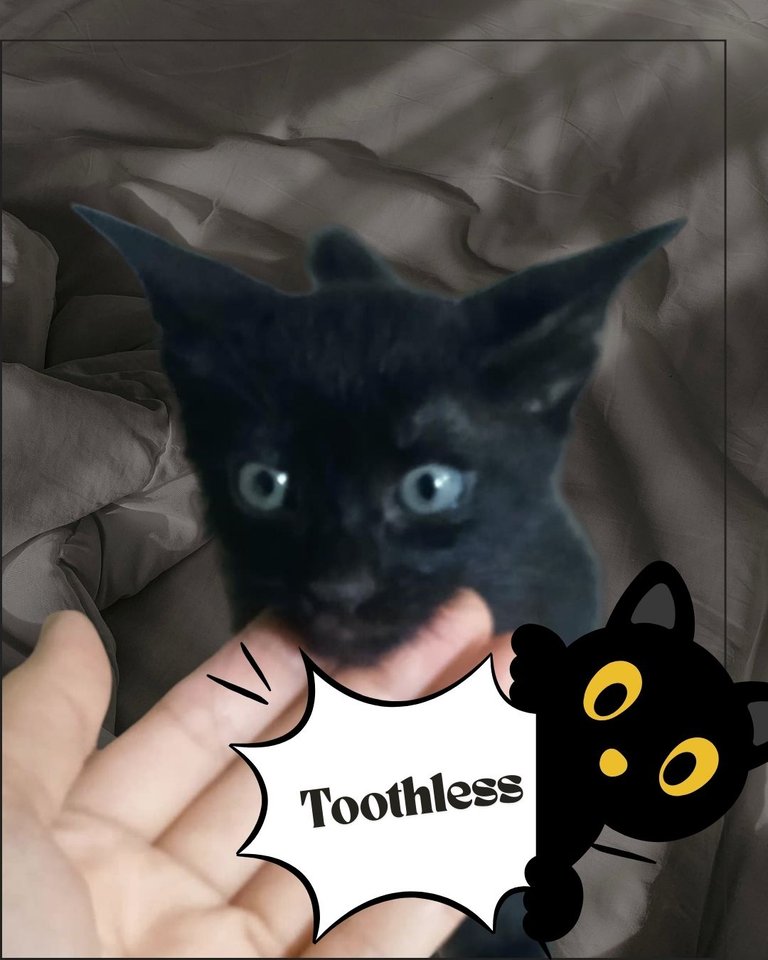 Hivepost9.jpg.jpg