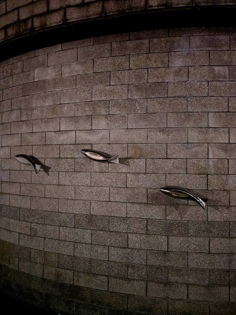 1000040971.jpg