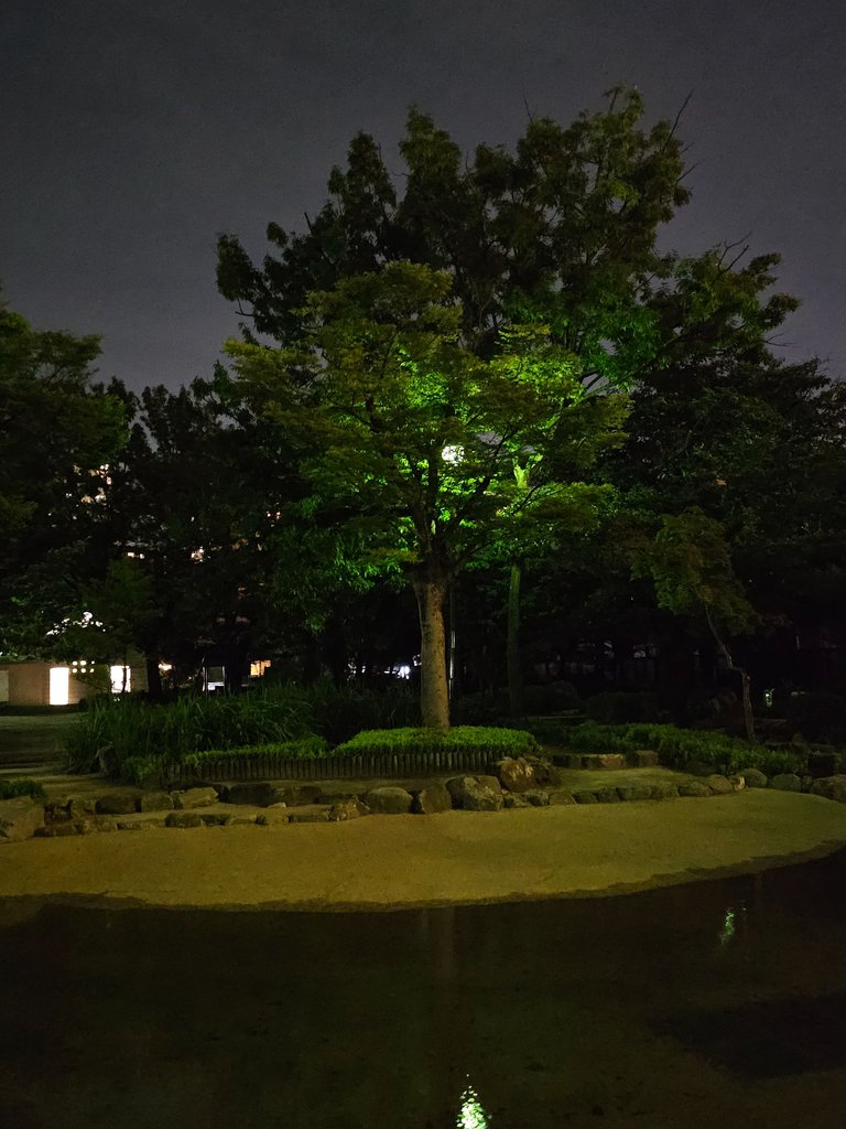 1000041342.jpg