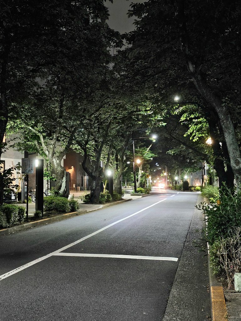 1000039179.jpg