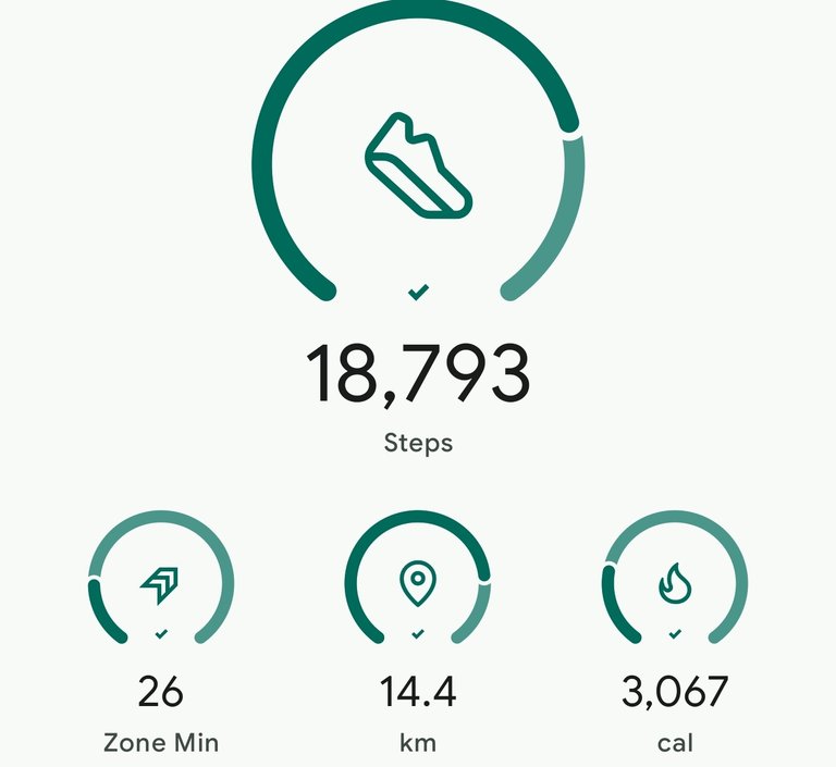 1000040782.jpg