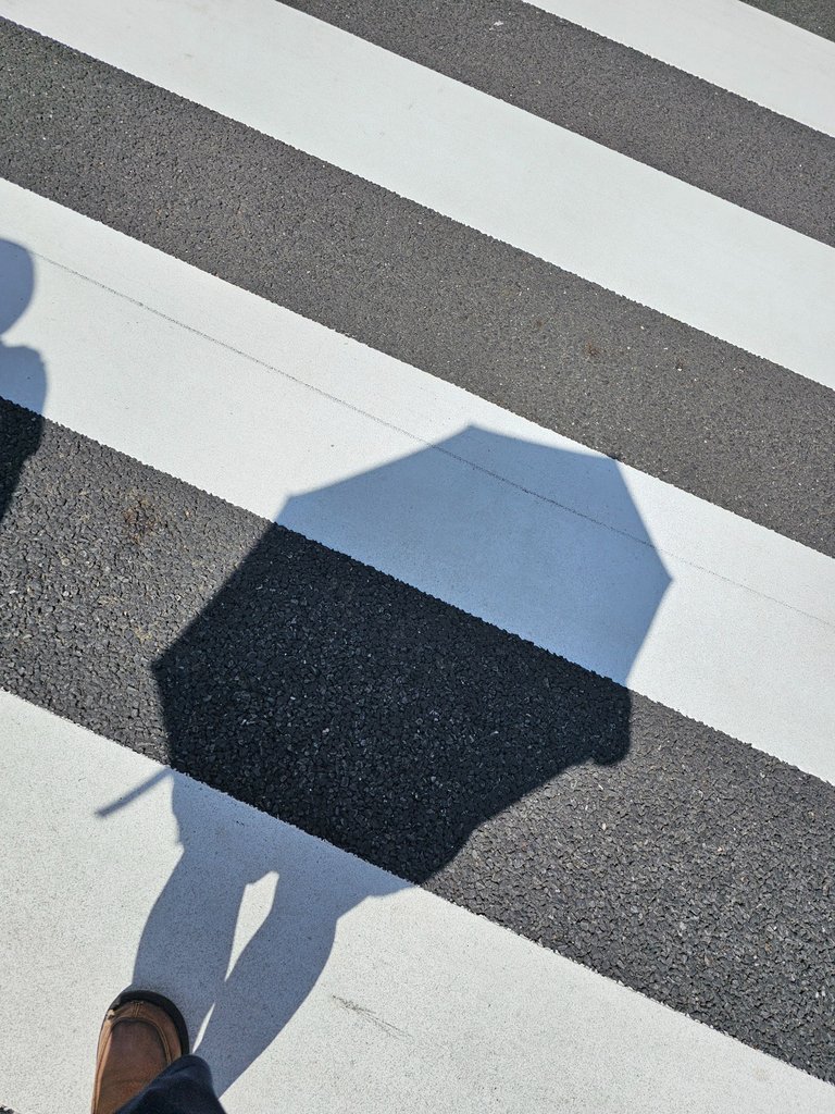 1000041228.jpg