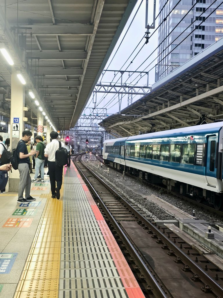 1000041145.jpg