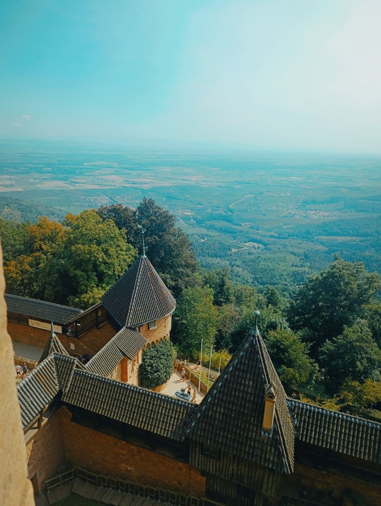 1000764790.jpg