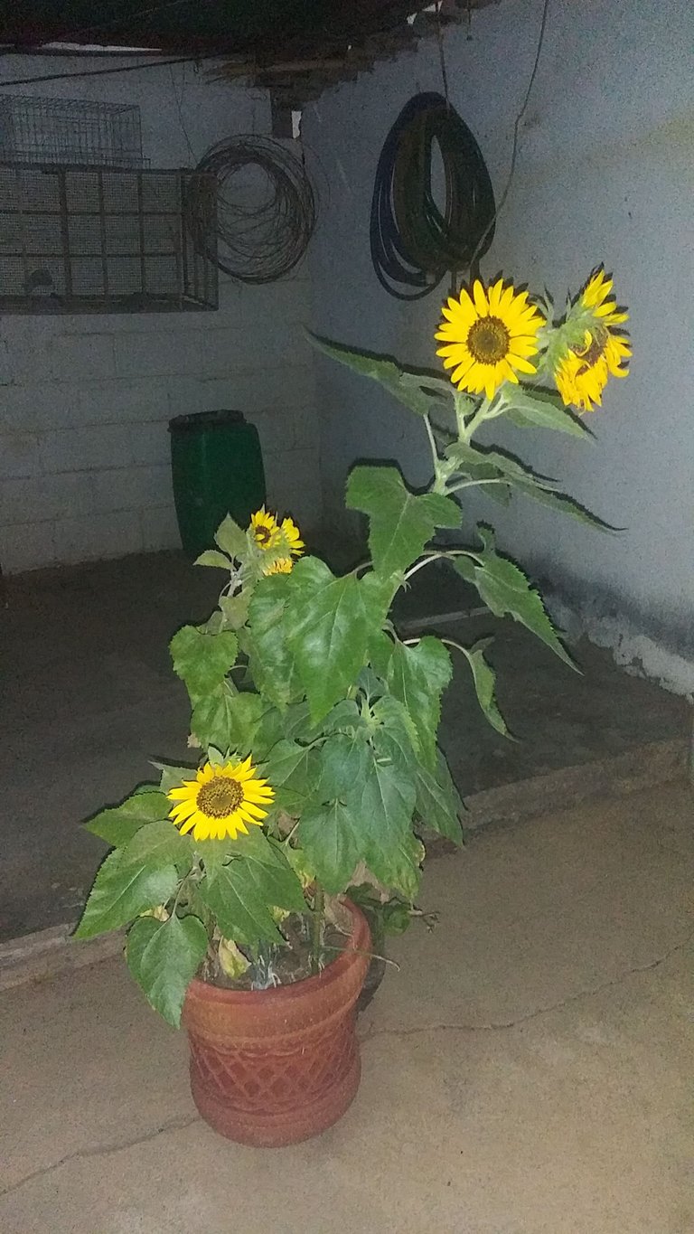 20230403_195634.jpg