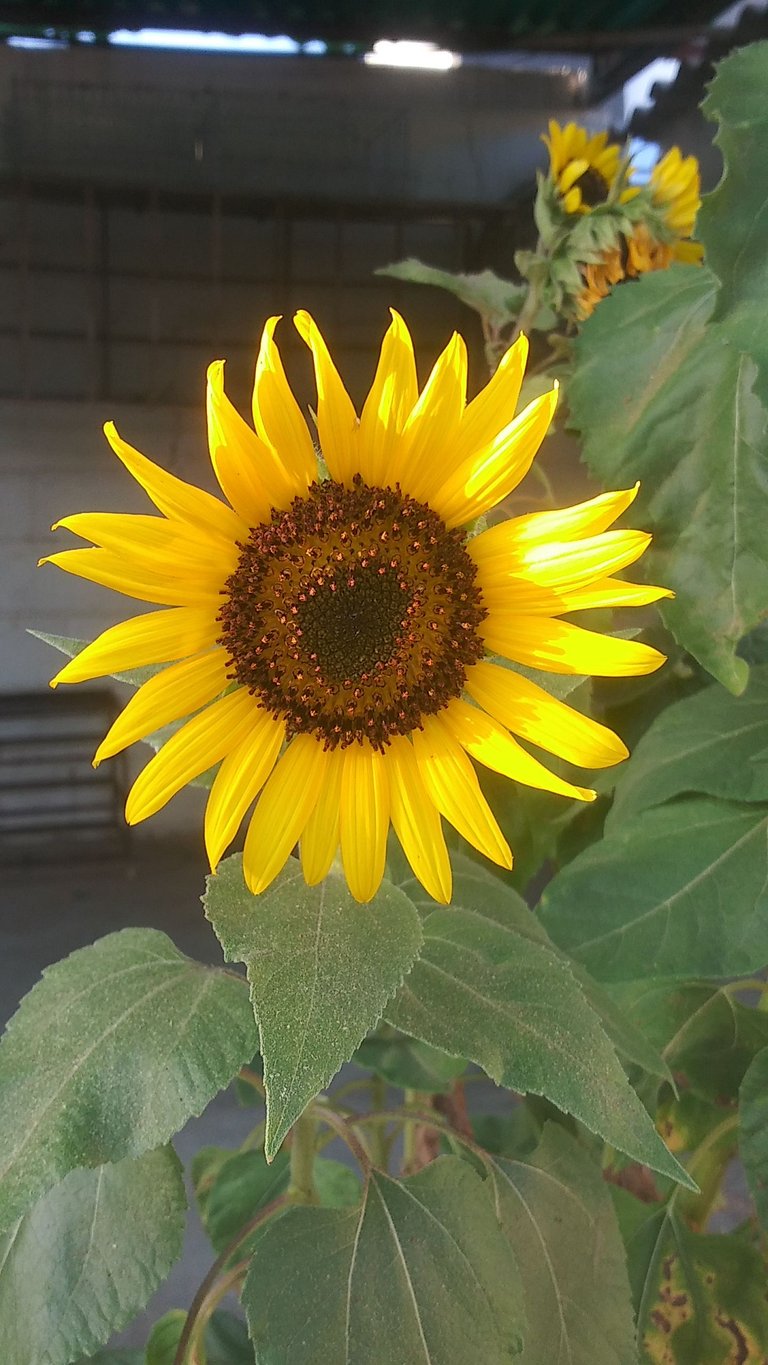 20230403_175711.jpg