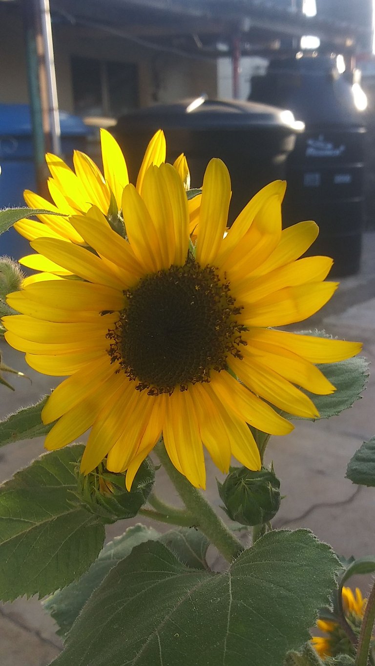 20230403_175727.jpg