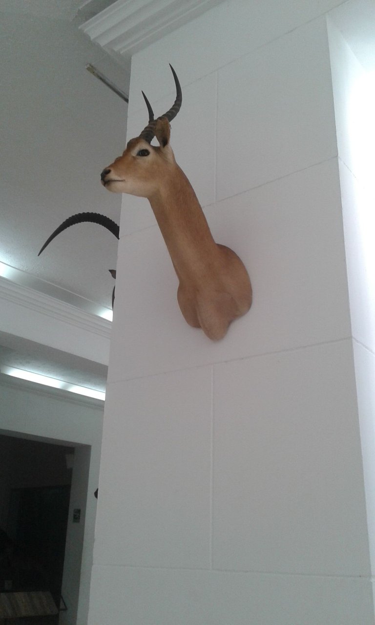 20180301_125258.jpg
