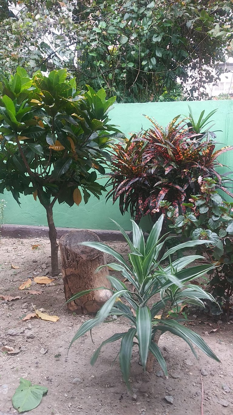 20230401_090035.jpg