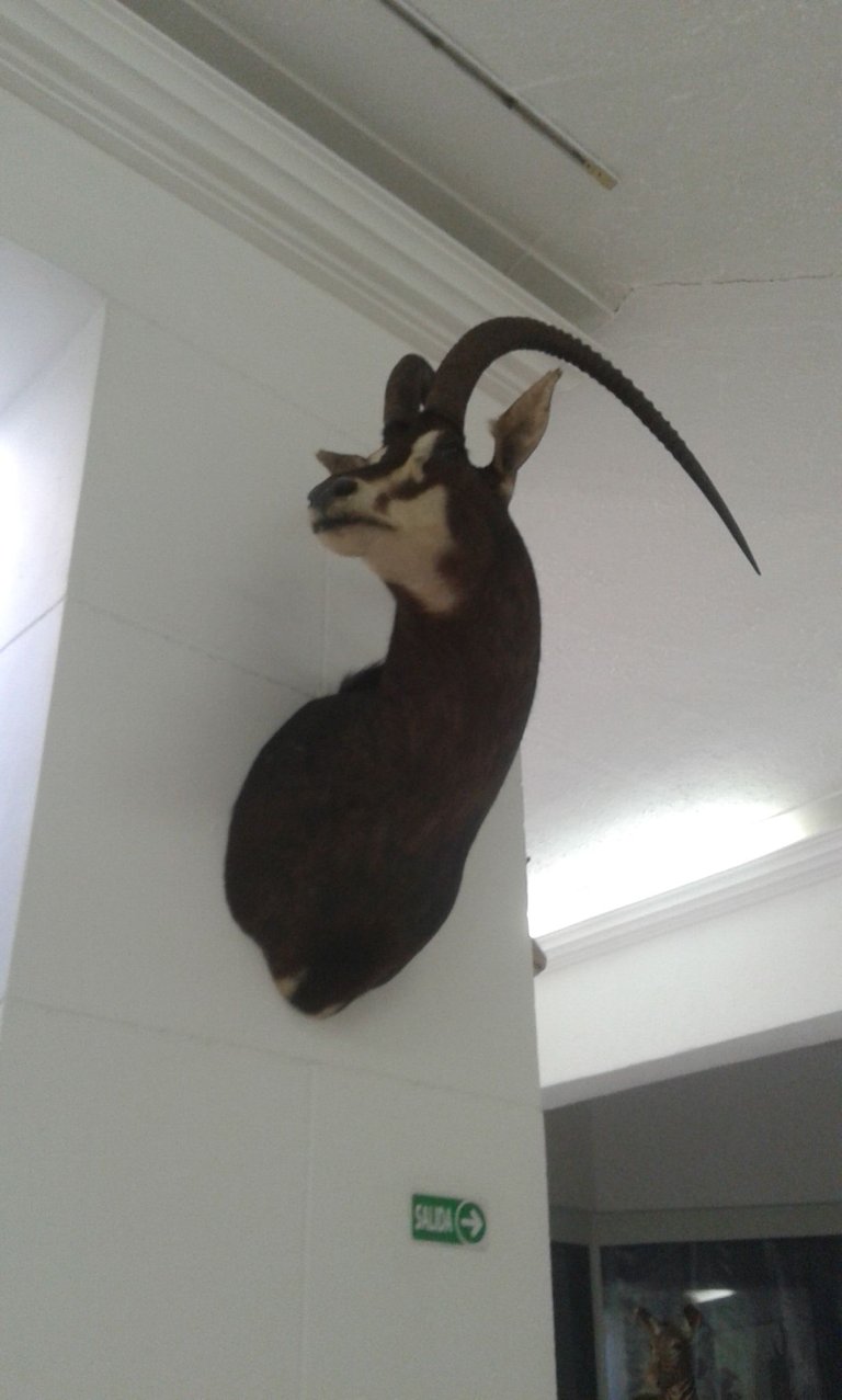 20180301_125045.jpg