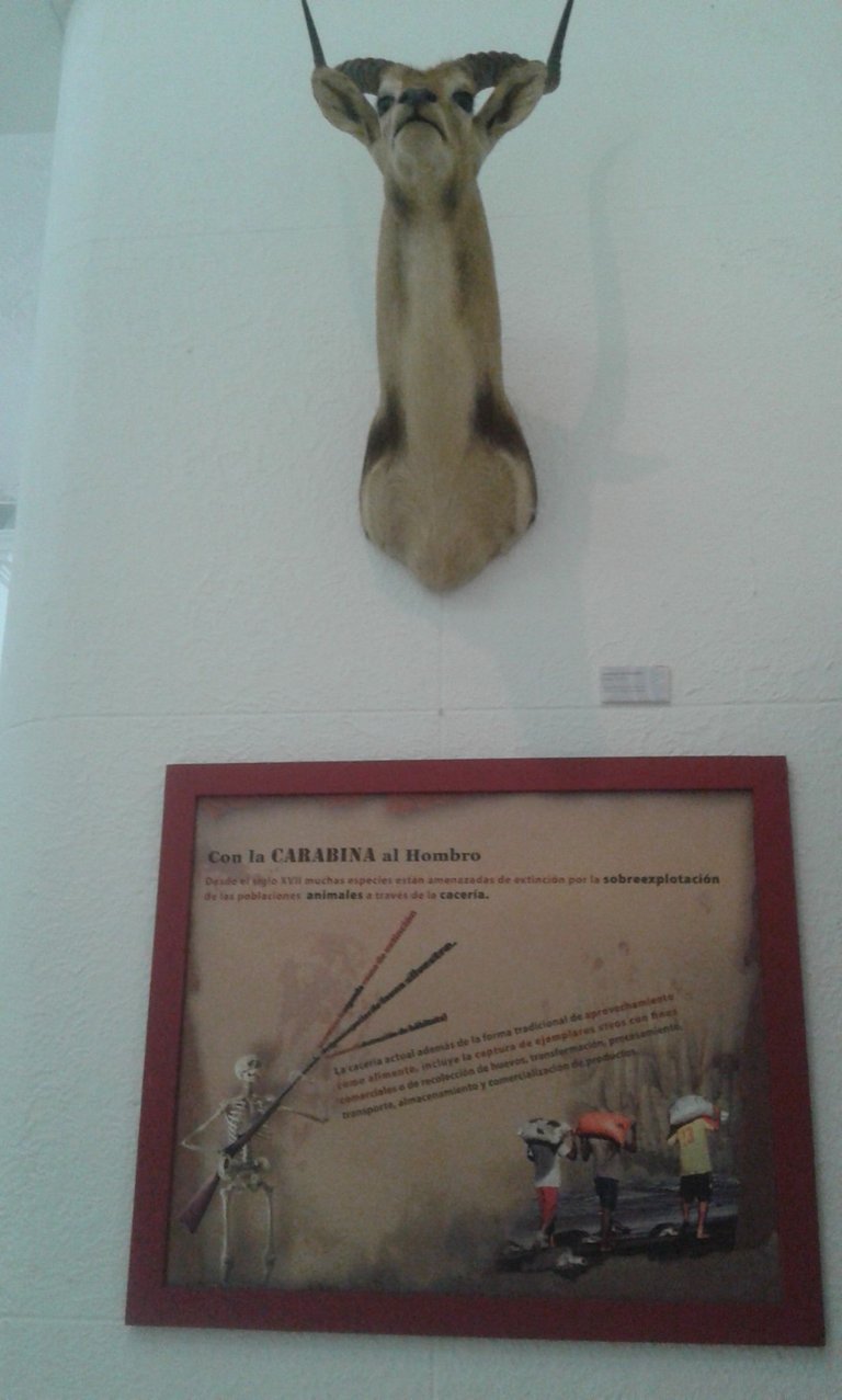 20180301_124950.jpg
