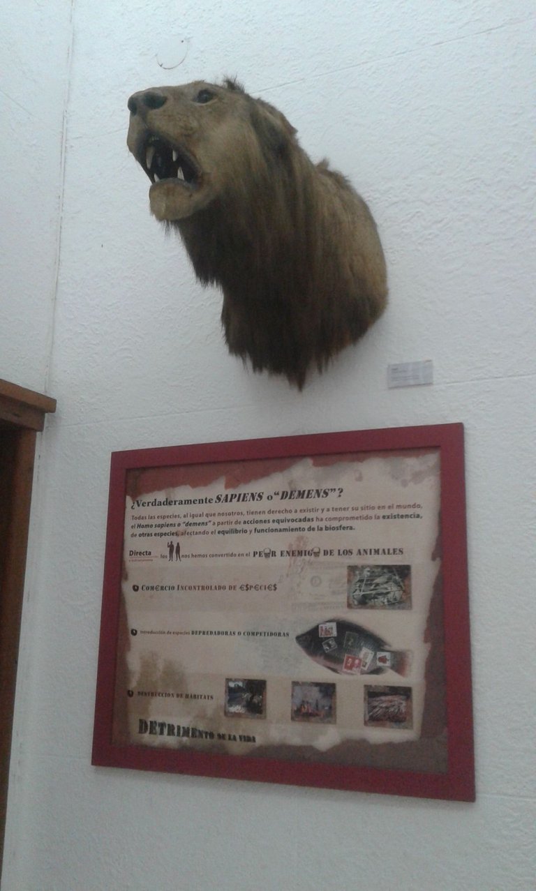 20180301_124632.jpg