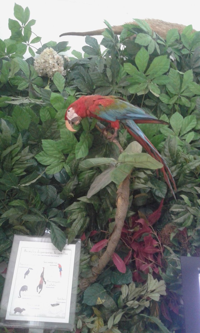 20180301_125802.jpg