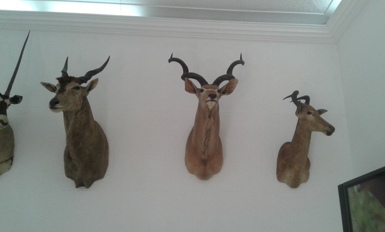20180301_124415.jpg