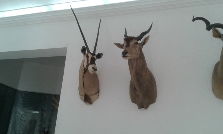 20180301_124420.jpg