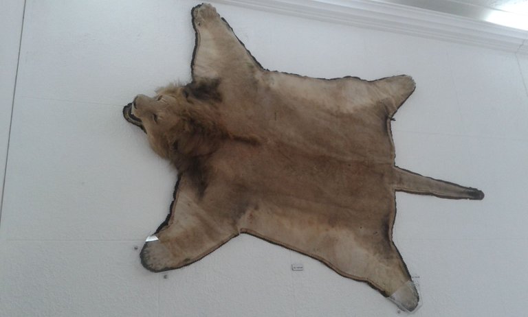 20180301_124551.jpg