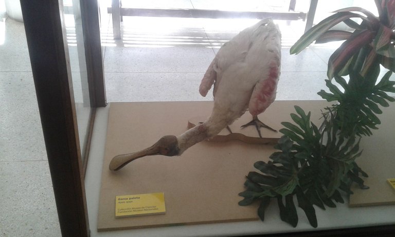 20180301_124352.jpg