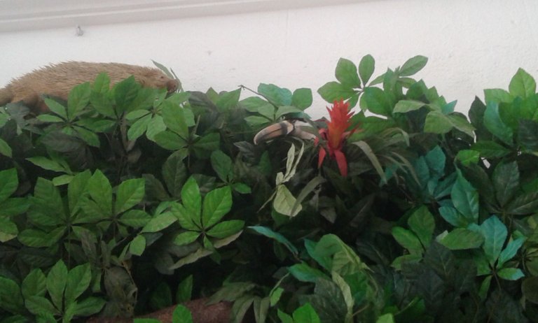 20180301_125819.jpg