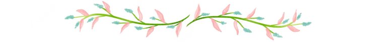 separadorflorj.jpg